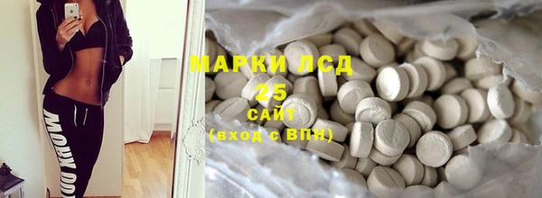 ПСИЛОЦИБИНОВЫЕ ГРИБЫ Инта