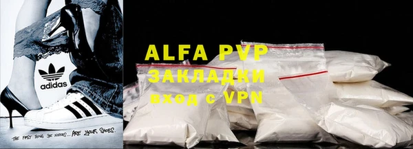 ПСИЛОЦИБИНОВЫЕ ГРИБЫ Инта