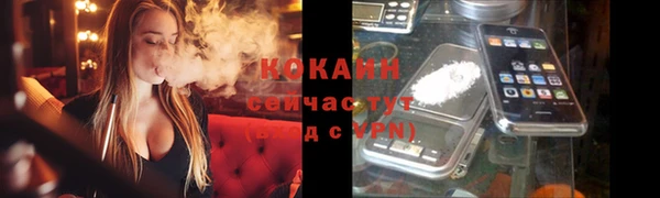 ПСИЛОЦИБИНОВЫЕ ГРИБЫ Инта