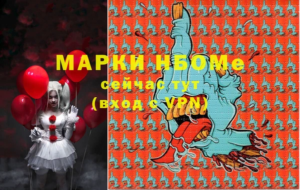 ПСИЛОЦИБИНОВЫЕ ГРИБЫ Инта