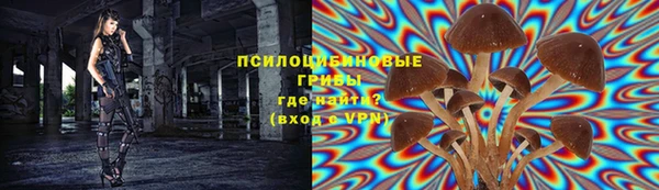 ПСИЛОЦИБИНОВЫЕ ГРИБЫ Инта